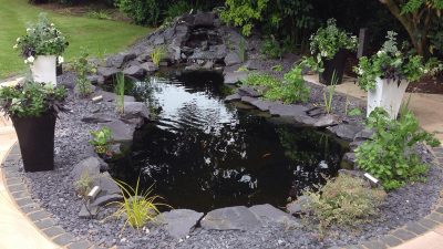 Pond Cleaning Bolton