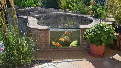 Pond Cleaning Bolton