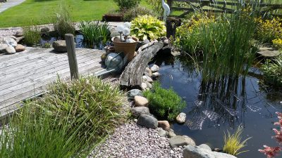 Pond Cleaning Bolton