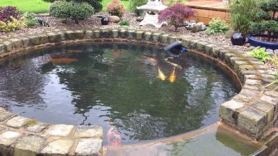 Pond Cleaning Bolton